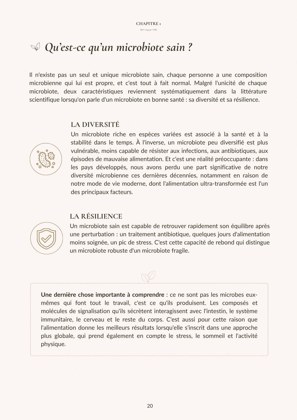 Gut & Glow - Le Guide Complet
