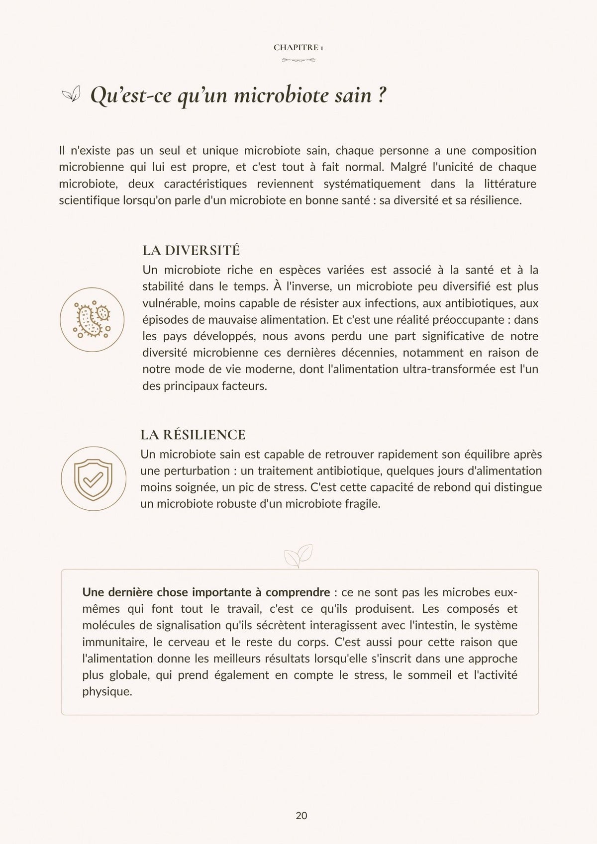 Gut & Glow - Le Guide Complet