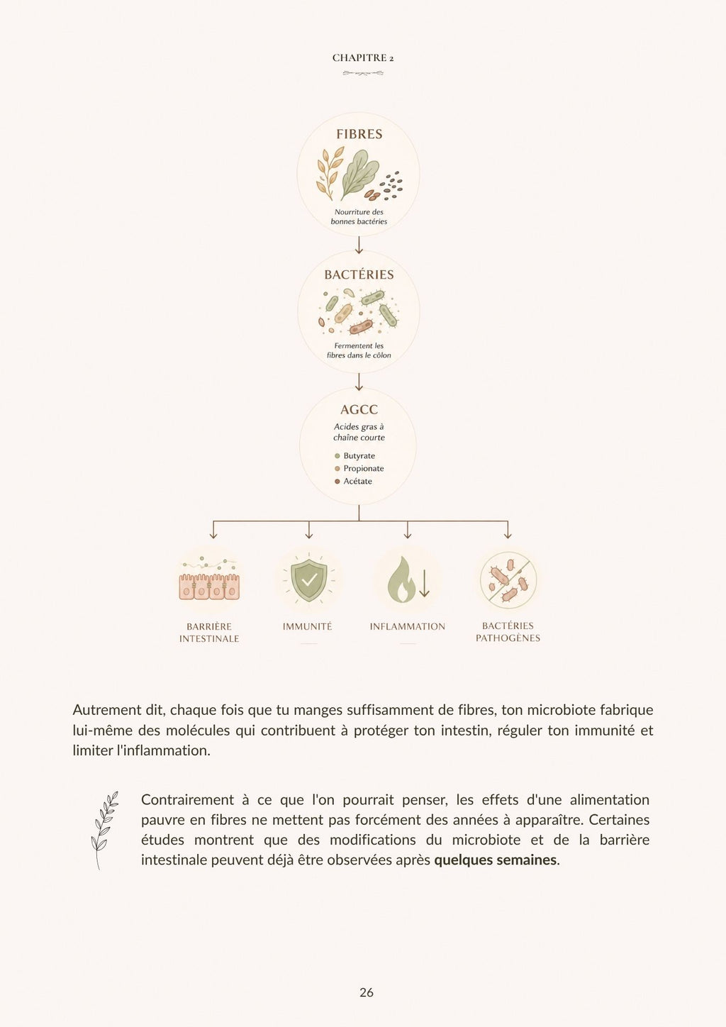 Gut & Glow - Le Guide Complet