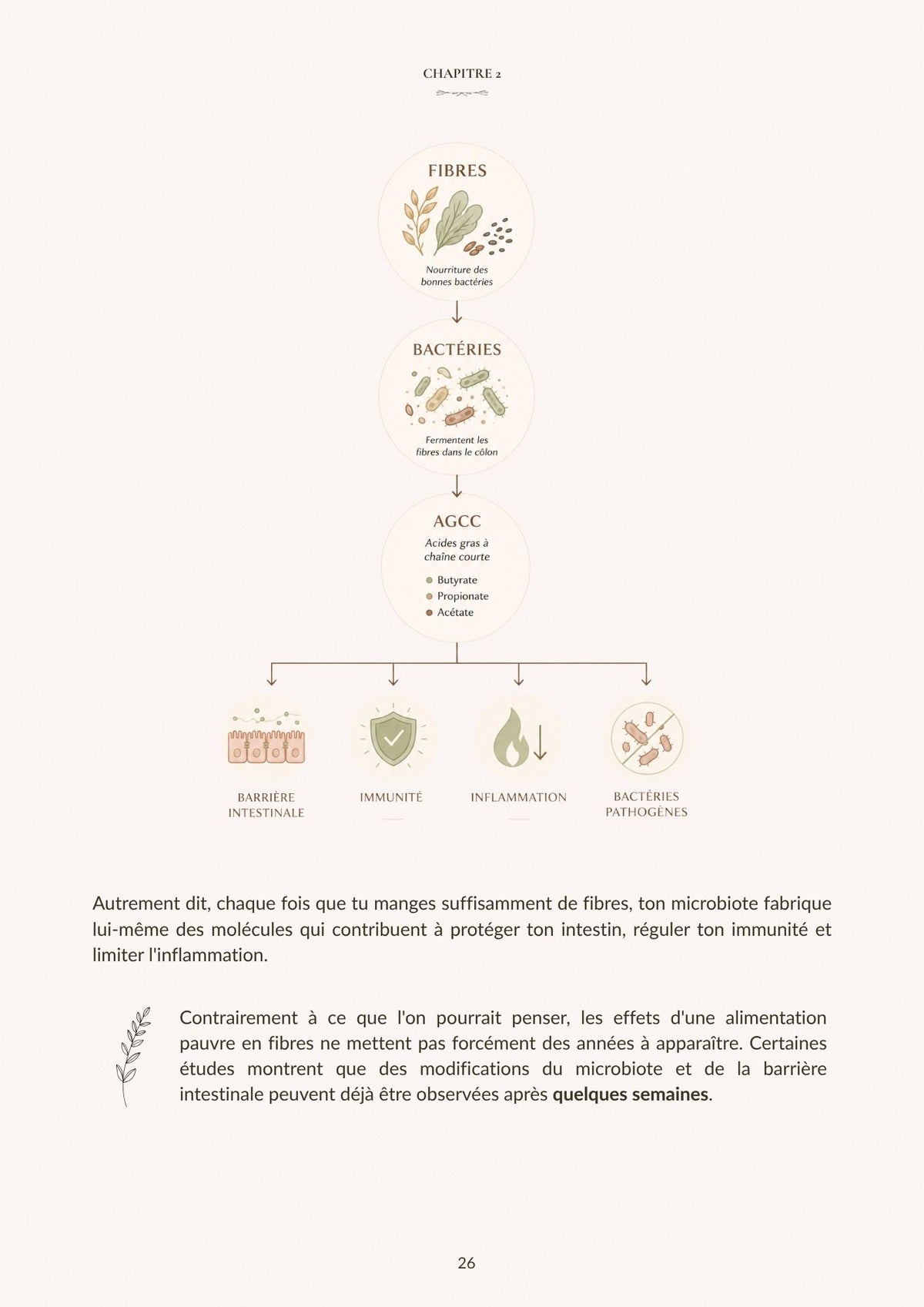 Gut & Glow - Le Guide Complet