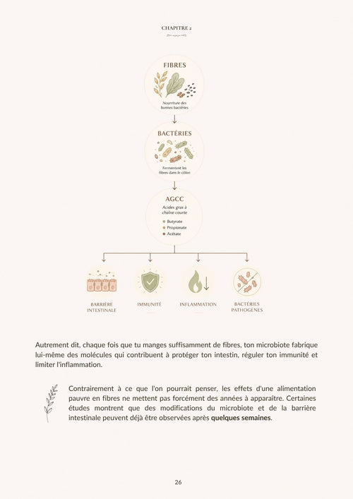 Gut & Glow - Le Guide Complet
