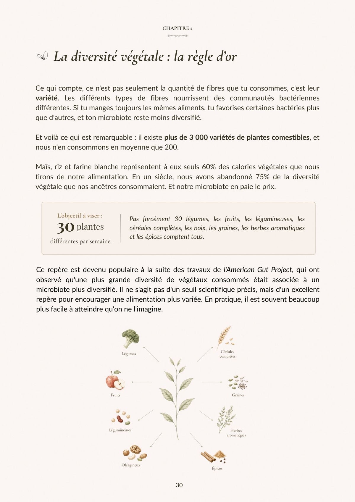 Gut & Glow - Le Guide Complet